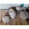 Image 1 : 9 wasps nests