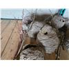 Image 2 : 9 wasps nests