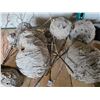 Image 3 : 9 wasps nests