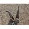 Image 1 : 4 pieces of unique shaped wood