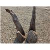 Image 2 : 4 pieces of unique shaped wood
