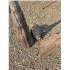 Image 3 : 4 pieces of unique shaped wood