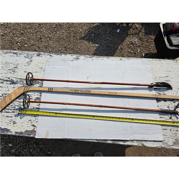 Hockey stick and ski poles