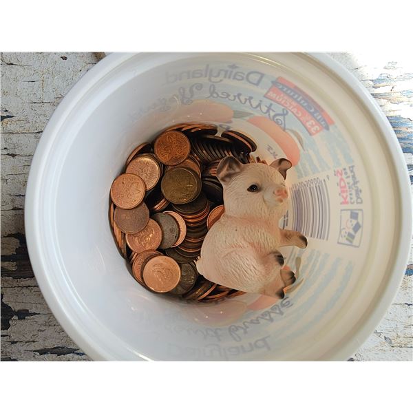 Pennies/Pig