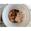Image 1 : Pennies/Pig