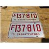 Image 1 : 1975 Sask Plate F137-810 (Pair)