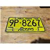 Image 1 : Alberta Plate 9P-8267 (Public Service)