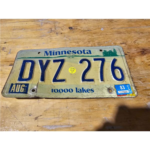 Minnesota Plate DYZ 276