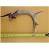 Image 8 : (2) Folding Knives (1) Folding Saw w/ Sheath an (1) Set of rattling Antlers
