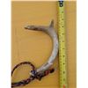 Image 9 : (2) Folding Knives (1) Folding Saw w/ Sheath an (1) Set of rattling Antlers