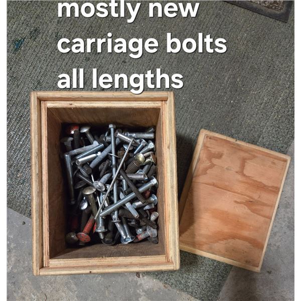 Wood Box w/ Assorted Carriage Bolts