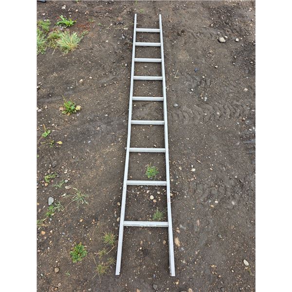 8Ft ladder