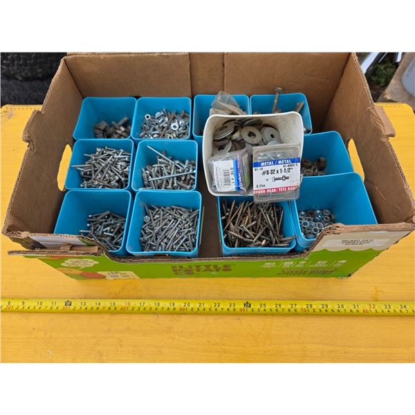 Lot of screws, nuts and bolts