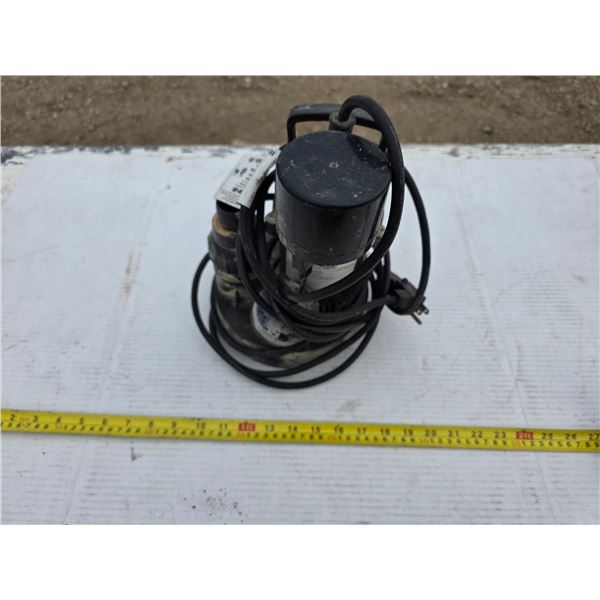 Sump pump