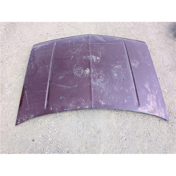 Red Vintage 1985-1988 Chev Truck Hood 64"x45"