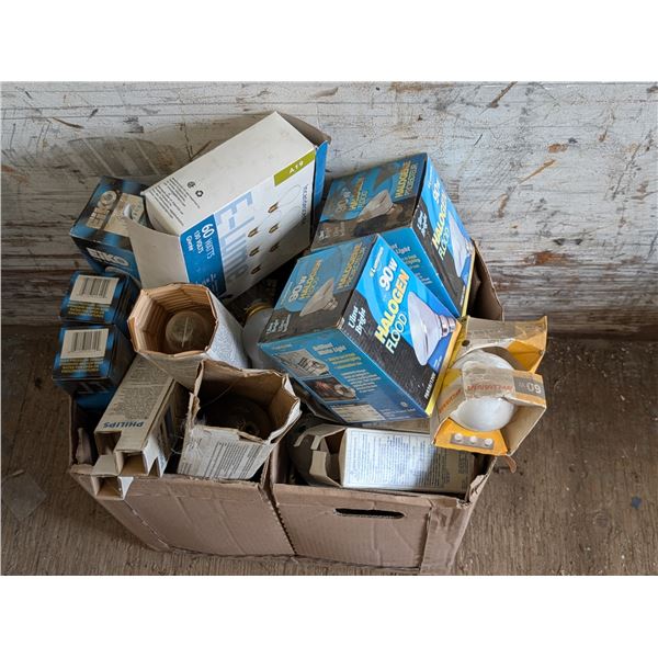 Lot of Variety of Light Bulbs