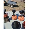 Image 8 : Large collection of Halloween decorations