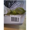Image 2 : 2 tier Plant stand