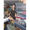Image 2 : Custom Crafted Dolls
