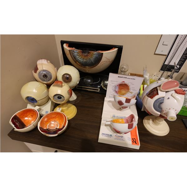 Multiple Eyeball Anatomical Medical Models, Misc Sizes
