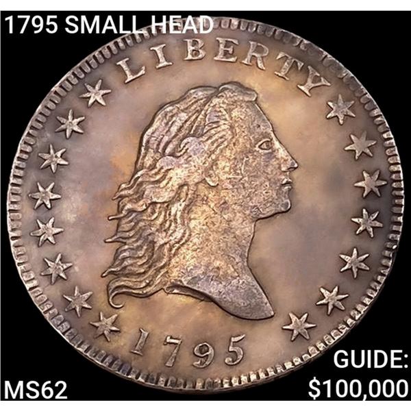 1795 SMALL HEAD Flowing Hair Half Dollar UNCIRCULATED