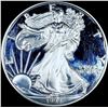 Image 1 : 1999-P 1oz Silver American Eagle $1 GEM PROOF