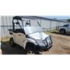 Image 2 : 2011 ARCTIC CAT 1000 SIDE BY SIDE