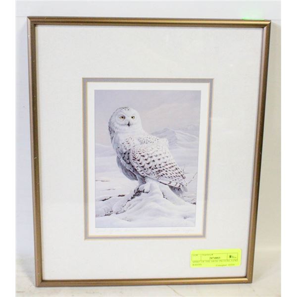 SPIRIT OF THE ARTIC PICTURE, LUKE RAFFIN