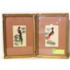 Image 1 : ANTIQUE PICTURES MADE FROM FEATHERS
