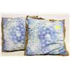 Image 1 : 2 OUTDOOR PILLOWS