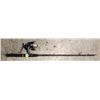 Image 1 : SHAKESPEARE MANTIS FISHING ROD AND REEL