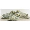 Image 1 : 3 WOODEN OWL ACCENT SET