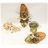 Image 1 : MISC ITEMS ORAN.