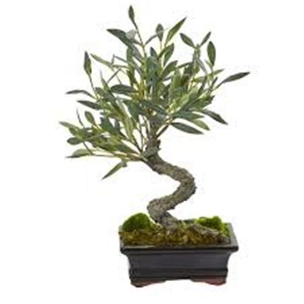 NEW WITH BOX OLIVE ARTIFICIAL BONSAI TREE