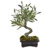 Image 1 : NEW WITH BOX OLIVE ARTIFICIAL BONSAI TREE