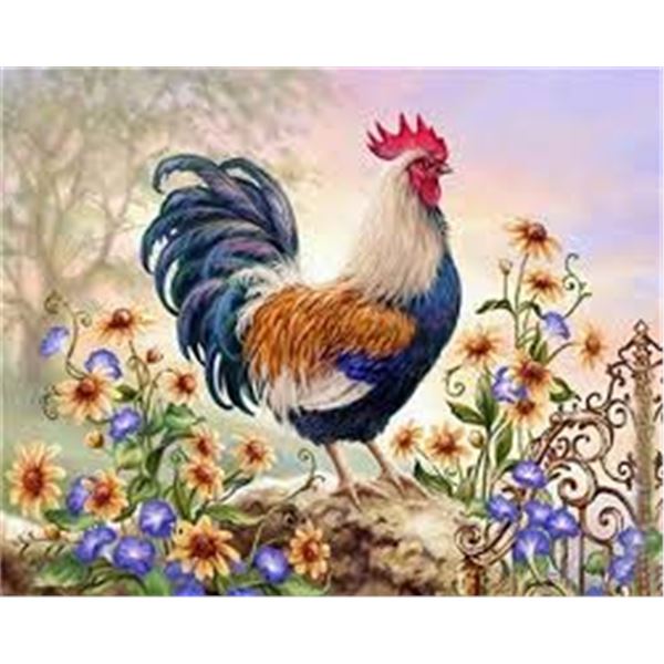 BRAND NEW PAINTING BY NUMBERS 40 X 50CM ROOSTER