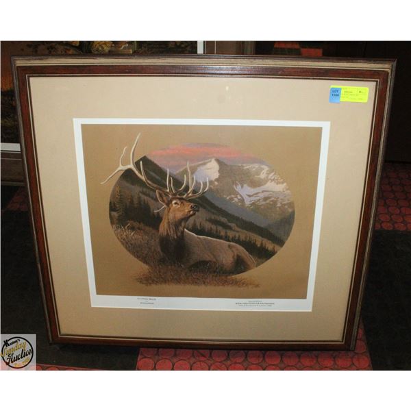 FRAMED WILDLIFE PRINT AN UPHILL BREEZE BY