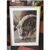 Image 1 : WILDLIFE PRINT - ROCKY MOUNTAIN EYE BY