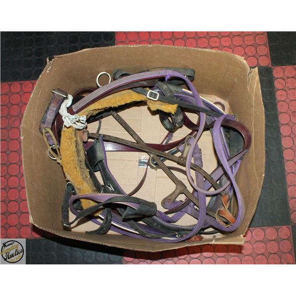 SINGLE DRIVING NYLON HARNESS