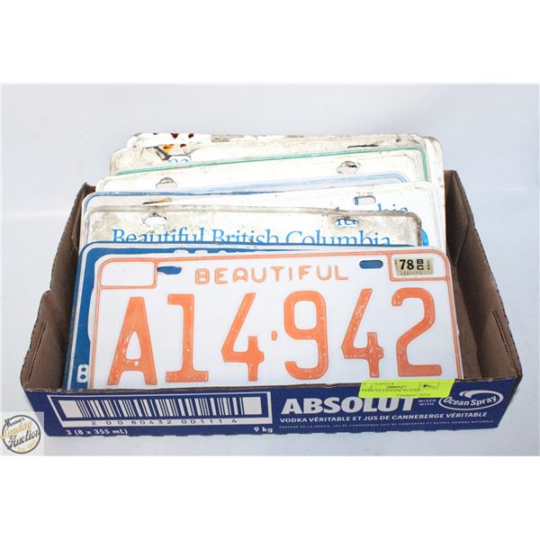 10 VEHICLE LICENSE PLATES