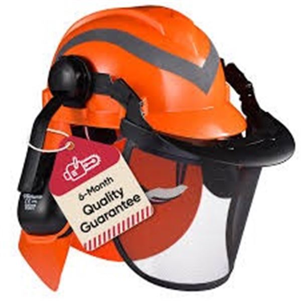 NEW WITH BOX SAFEYEAR FOREST SAFETY HELMET