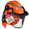 Image 1 : NEW WITH BOX SAFEYEAR FOREST SAFETY HELMET
