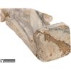 Image 12 : After Pietro Bazzanti Marble Sculpture - Rebecca