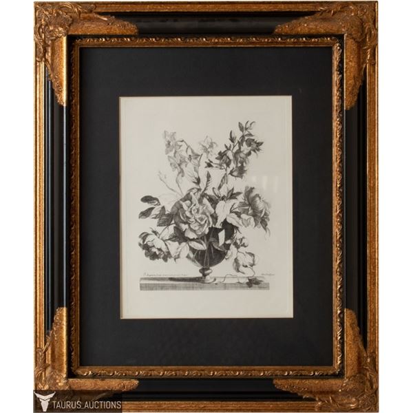 18th C Botanical Still Life Engraving