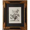 Image 1 : 18th C Botanical Still Life Engraving