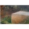 Image 5 : Chen Shapira Israel Landscape Painting