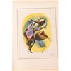Image 6 : 'Harlem as Seen by Hirschfeld' - Art Book
