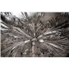 Image 5 : Art Nouveau Kayserzinn Pewter Inchworm Tray