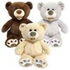 Image 1 : BRAND NEW 3PK HUGFUN BEARS