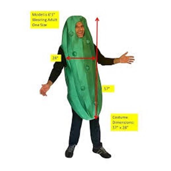 NEW PICKLE ONE-PIECE COSTUME ONE SIZE